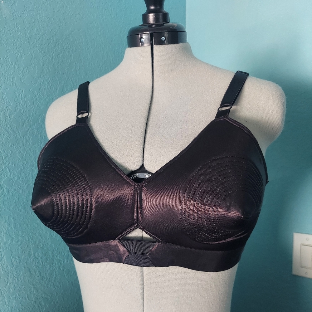 What Katie Did Bullet bra